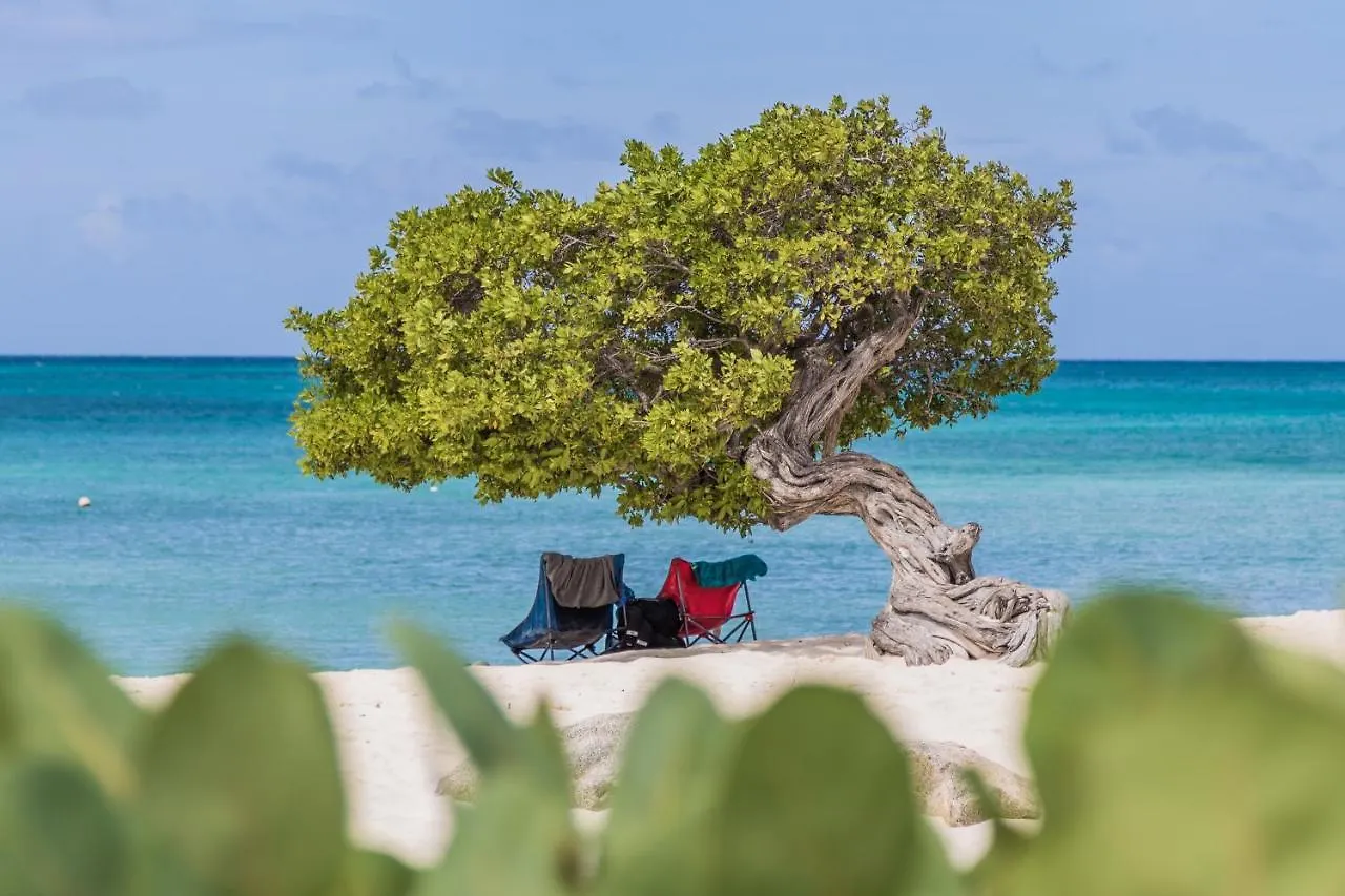 Tranquility Inside Astonishing Harbor View Lejlighed Oranjestad 0*,  Aruba